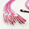 pusat data 8 Core MPO MTP Patch Cord 40G Mpo To Lc Breakout Cable